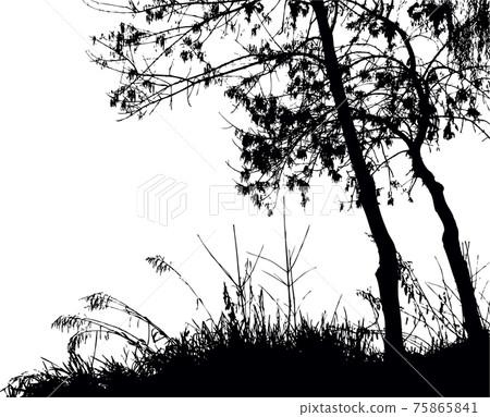 Silhouette of trees by the lake. Vector drawing Silhouette of trees by the lake. Vector drawing 75865841