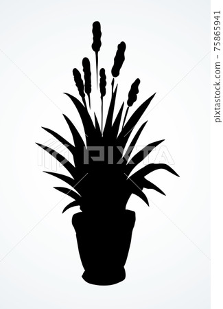 Grass in pot. Vector drawing Grass in pot. Vector drawing 75865941
