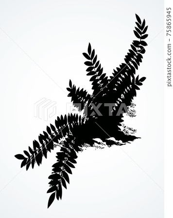 Fern. Vector drawing icon sign 75865945