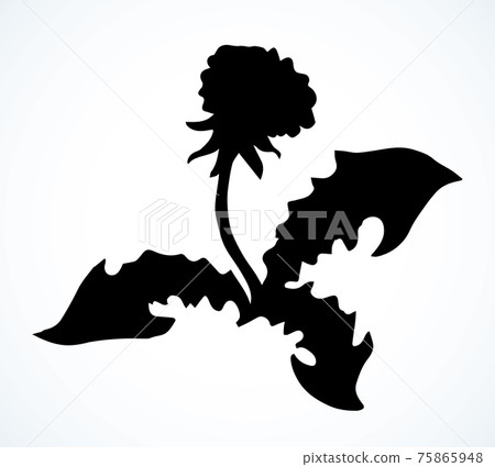 Blooming dandelion. Vector drawing icon Blooming dandelion. Vector drawing icon 75865948