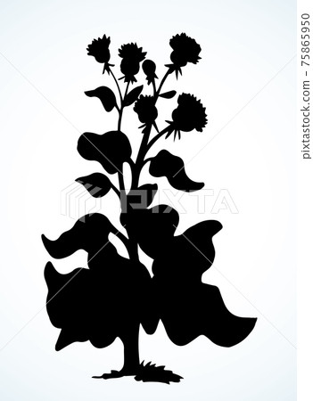 Big blooming burdock. Vector drawing Big blooming burdock. Vector drawing 75865950