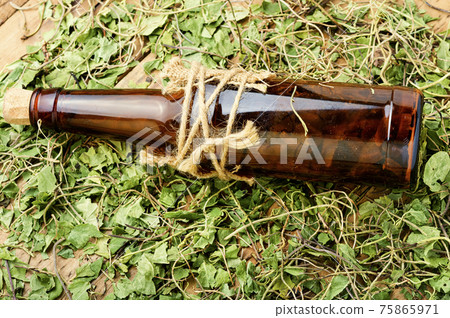 Bottle of tincture of medicinal herbs 75865971