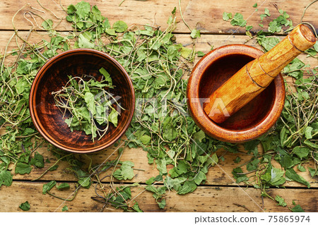 Mortar with healing herbs,orthilia secunda 75865974