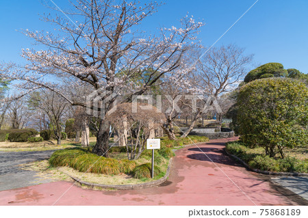 佐野城跡(櫪木縣佐野市) 佐野城跡(櫪木縣佐野市) 75868189
