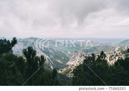 cloudy day with fog in the mountains of the natural park of the ports, in tarragona (spain) 75868281