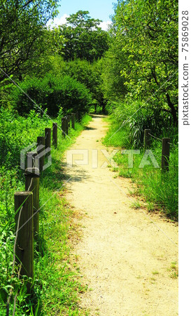 都市農業公園的風景（東京都足立區） 75869028