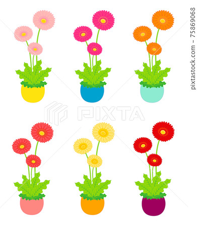 非洲菊盆栽植物的插圖 75869068