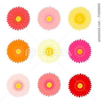 非洲菊花圖標集 非洲菊花圖標集 75869069