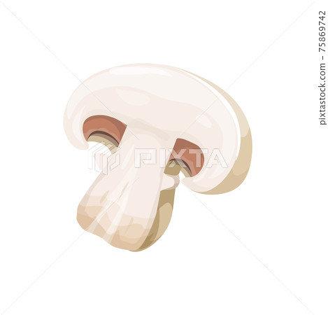 Cut white mushroom champignon isolate edible fungi Cut white mushroom champignon isolate edible fungi 75869742