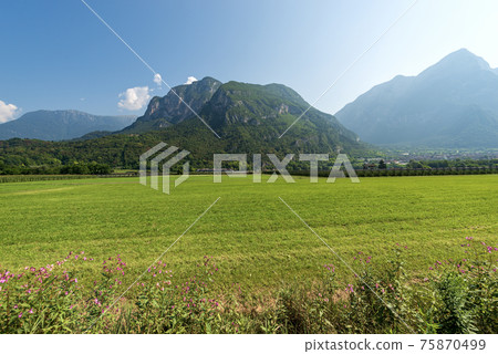 Valsugana - Summer Landscape of Sugana Valley with Green Meadows and Mountains Valsugana - Summer Landscape of Sugana Valley with Green Meadows and Mountains 75870499