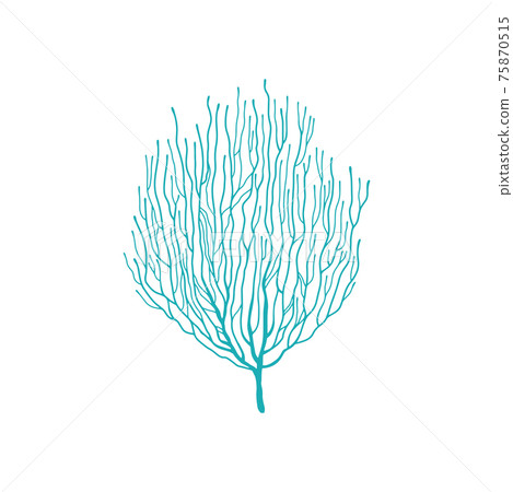 Blue bubble tip anemone isolated soft coral icon Blue bubble tip anemone isolated soft coral icon 75870515