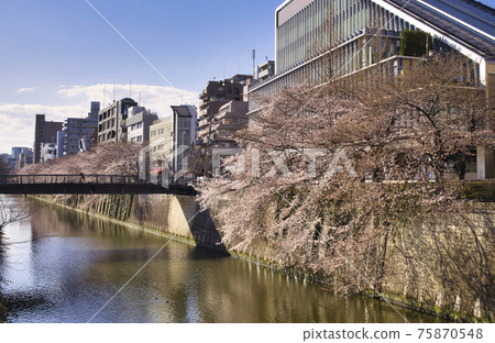 目黑川櫻花中目公園大橋 75870548