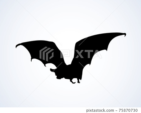 Bat. Vector drawing - Stock Illustration [75870730] - PIXTA