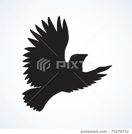Vector drawing. Small titmouse 75870732