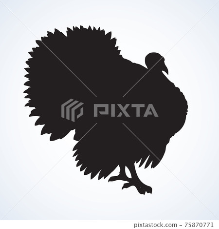 Turkey. Vector drawing 75870771