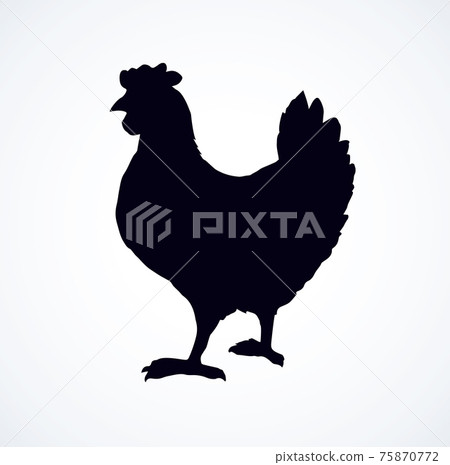 Hen. Vector drawing 75870772