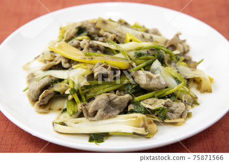 美味的炒羊肉和香菜 75871566