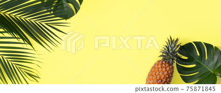 鳳梨 熱帶 葉子 蓬萊蕉 背景 龜背葉 pineapple background パイナップル 75871845