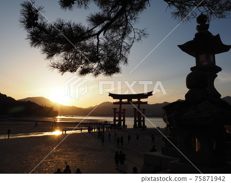 Itsukushima Shrine Torii and stone lantern just before sunset Itsukushima Shrine Torii and stone lantern just before sunset 75871942