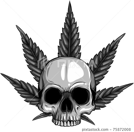 design of skull with leaves marijuana head illustration design of skull with leaves marijuana head illustration 75872008