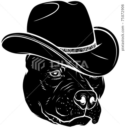 black silhouette of head pitbull with fedora hat vector illustration black silhouette of head pitbull with fedora hat vector illustration 75872906