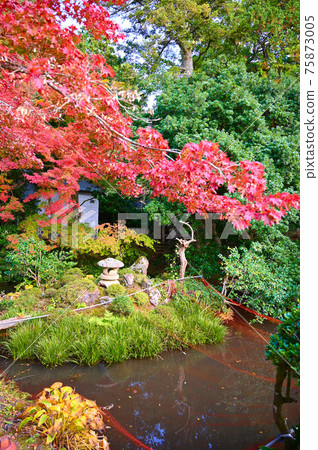 Matsuodera Kuri / 北條花園舞鶴市 Matsuodera Kuri / 北條花園舞鶴市 75873005