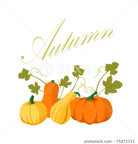 Pumpkin set vector 75873155