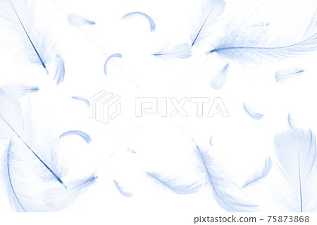 Feather white. Pastel angel feather closeup texture falling on white background for pattern wallpaper. Abstract. Light blue color trends and vintage. 75873868