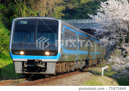 特快“宇和海”和櫻花（2000系列TSE / JR四國） 75873949