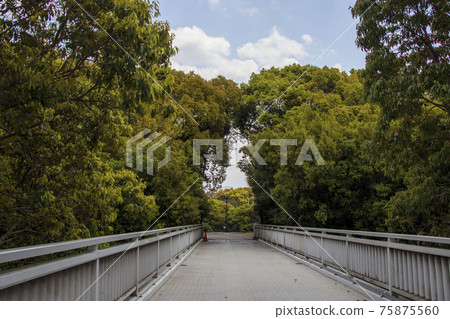 過馬路橋到一個自然豐富的公園 75875560