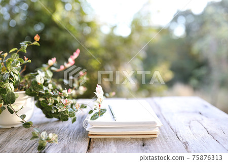 Notebooks on wooden table with Madras Thorn plant Notebooks on wooden table with Madras Thorn plant 75876313