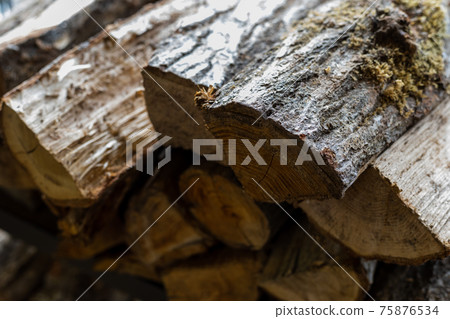 Living with firewood and a wood stove Living with firewood and a wood stove 75876534