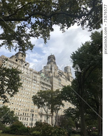 Harmony between nature and buildings 75876577