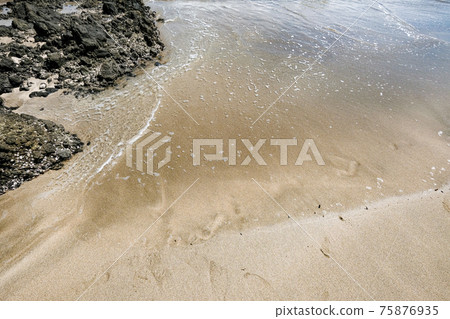 入田海灘 入田海灘 75876935
