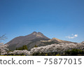 Yufuin, Oita Prefecture, cherry blossoms in full bloom and Mt. Yufu # 19 75877015