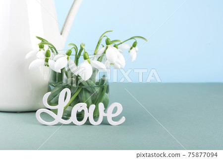 Close up fresh snowdrops in a glass vase and letter love. Close up fresh snowdrops in a glass vase and letter love. 75877094