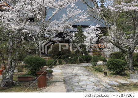 仁王寺 5 仁王寺 5 75877263