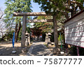 Kumano Shrine (Shibuya Ward) 75877777