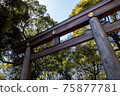 Meiji Shrine Torii 75877781