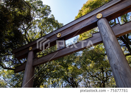 Meiji Shrine Torii Meiji Shrine Torii 75877781