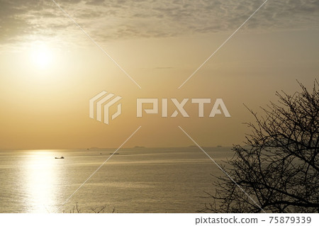 赤子海天 75879339