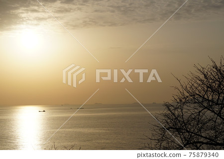 赤子海天 75879340