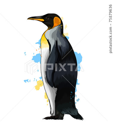 Emperor penguin from a splash of watercolor, colored drawing, realistic Emperor penguin from a splash of watercolor, colored drawing, realistic 75879636