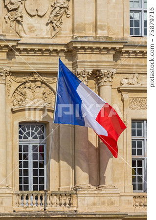 Sunny France Flag 75879716
