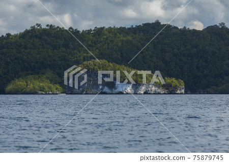 Small tropical island, worn by sea water, covered with lush vegetation, off the beautiful and heavenly shores of Gam Island in Raja Ampat, West Papua, Indonesia. Small tropical island, worn by sea water, covered with lush vegetation, off the beautiful and heavenly shores of Gam Island in Raja Ampat, West Papua, Indonesia. 75879745
