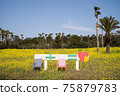 A beautiful landscape with rapeseed flowers and palm trees 75879783