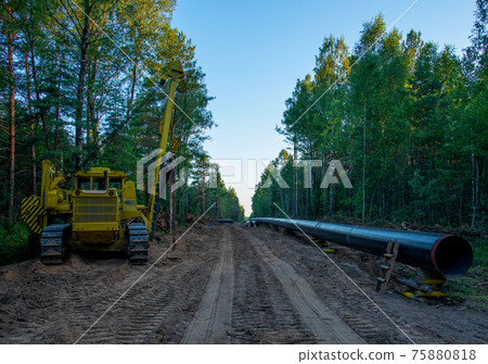 Excavator clearing forest for new development. Excavator clearing forest for new development. 75880818