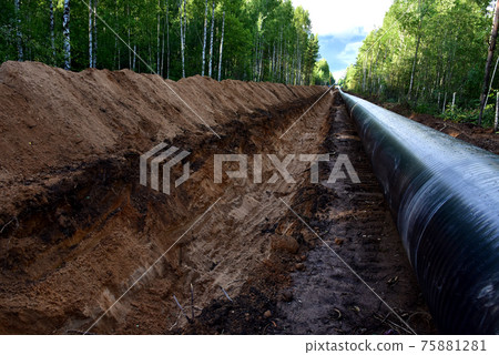 Crude oil and Natural gas pipeline construction work in forest area.  75881281