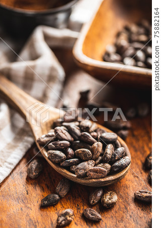 Roasted cocoa beans in wooden spoon Roasted cocoa beans in wooden spoon 75882164