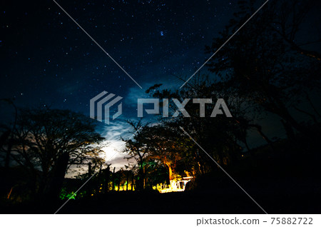 under the tree night time sky star background under the tree night time sky star background 75882722